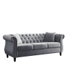 3-seater + 3-seater Combination sofa.Grey Velvet(W834S00062)