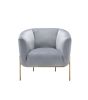 ACME Carlson Accent Chair, Gray Velvet & Gold 59790